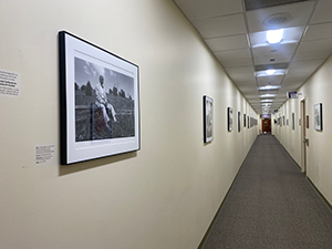 Framed photographs hanging in Belk Library's 4th floor hallway