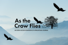 As the Crow Flies