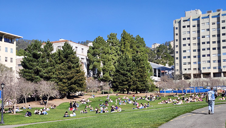 ucb_lawn_r