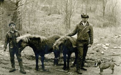 Michael B. Reilly West Virginia Photograph Collection Added