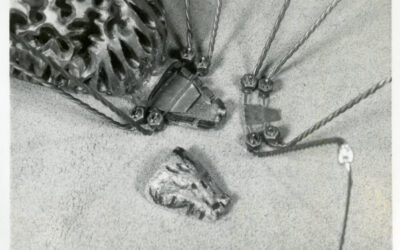 Discoveries and Reflections of my Special Collections Assistantship, by London Fowler