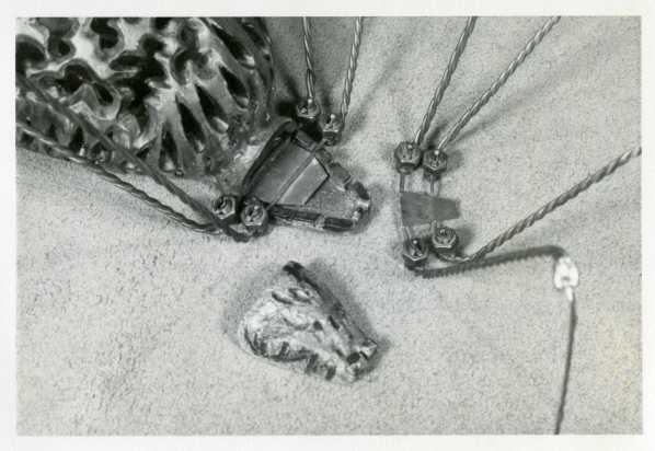 Discoveries and Reflections of my Special Collections Assistantship, by London Fowler